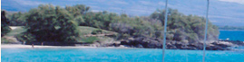 www.traveljungle.co.uk